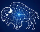 Bisonary – Competitor Radar AI logo