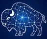 Bisonary logo