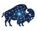 Bisonary logo